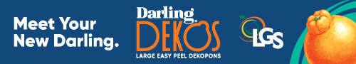 Meet Your New Darling 