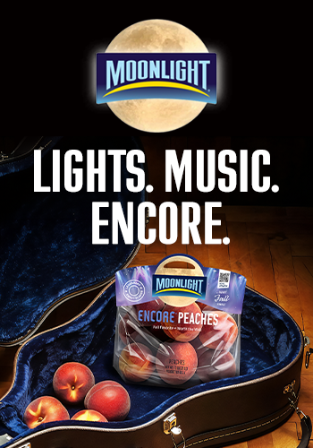 Lights  Music  Encore 
