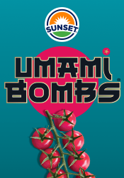 Sweet and Savory Umami Bombs from SUNSET