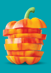 Sweet Flavor Paradise