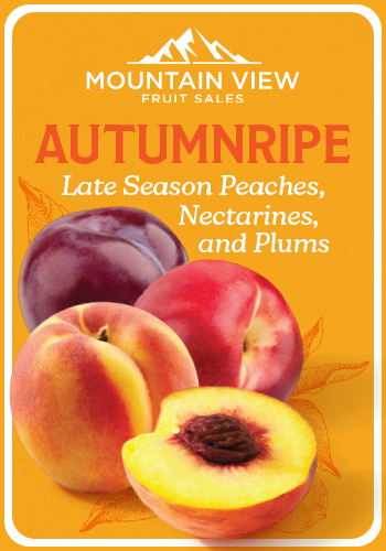 AUTUMNRIPE