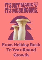 It's not magic  It's mushrooms 