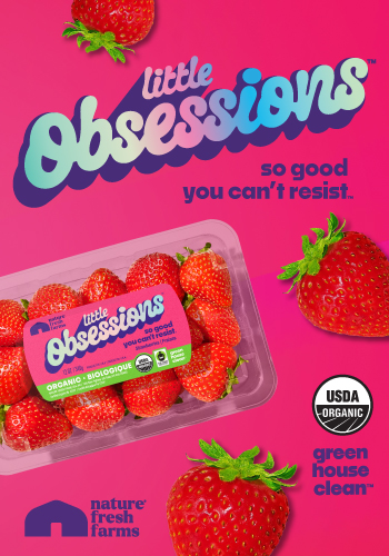 little obsessions