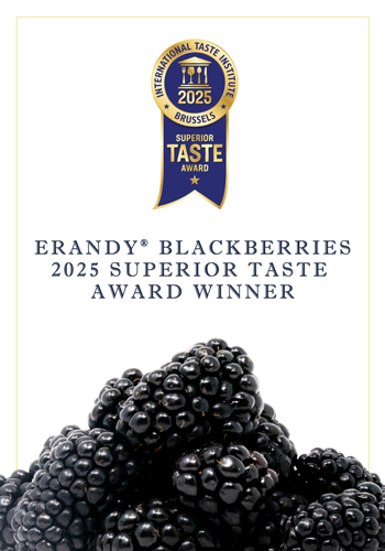 North Bay Produce Reserve Blackberries