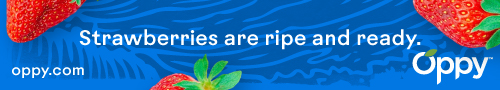 Strawberries are ripe and ready - Oppy