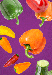 Perpetual Vegetable - Positive energy grows year-round