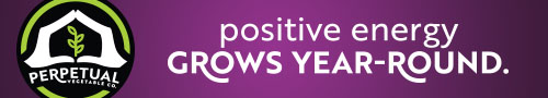 Perpetual Vegetable - Positive energy grows year-round