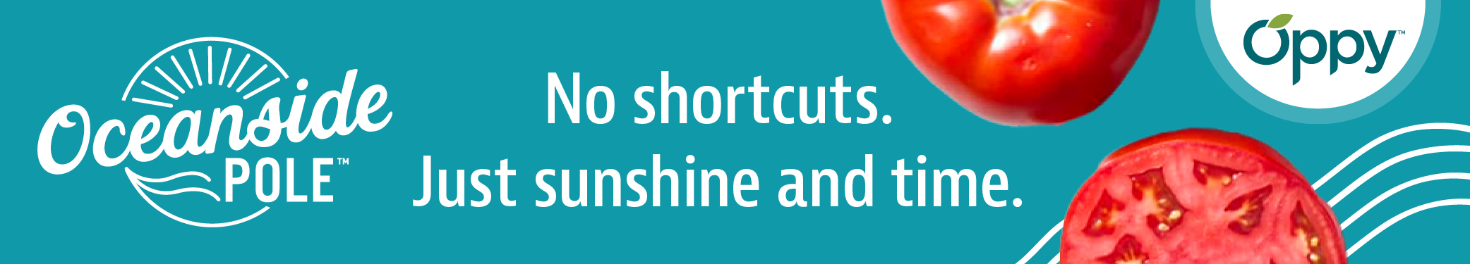 Oceanside Pool - No shortcuts - Just sunshine and time - Oppy