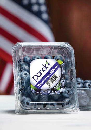 Pandol Blueberries