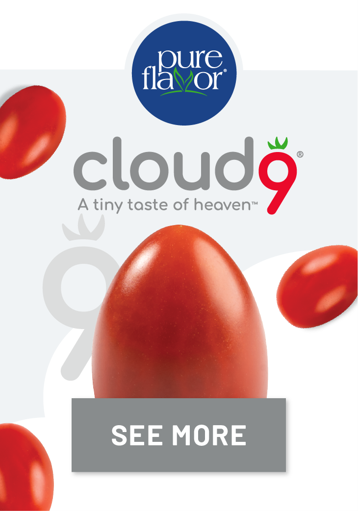 Pure Flavor - Cloud 9 Tomatoes