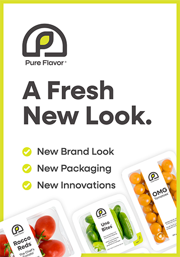 A Fresh New Look