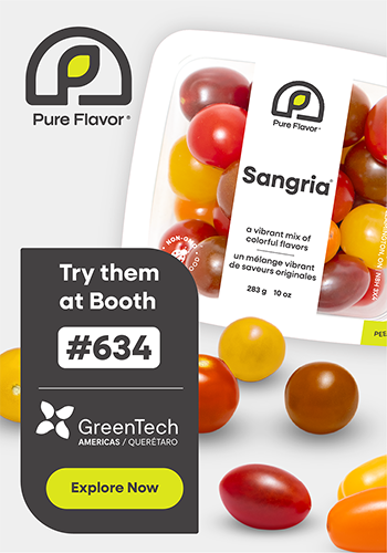 Sangria