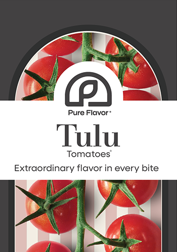 Extraordinary flavor in every bite