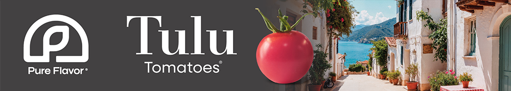 Tulu Tomatoes