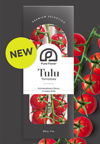 Tulu Tomatoes