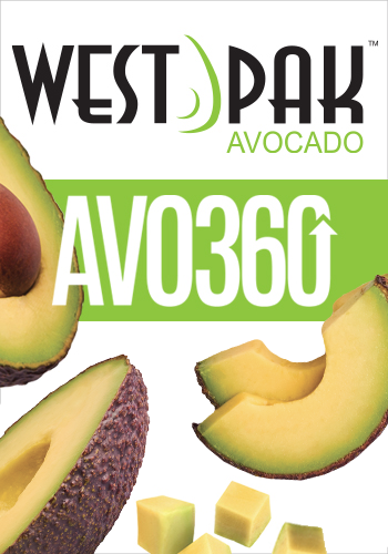 AVO360