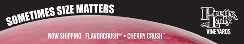 Pretty Lady Vineyards - Sometimes size matters