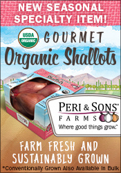 Gourmet Organic Shallots from Peri & Sons Farms