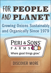 Growing Onions Sustainably and Organically Since 1979