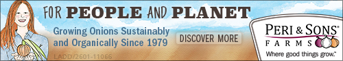 Growing Onions Sustainably and Organically Since 1979