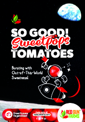 Red Sun Farms - SweetPops Tomatoes