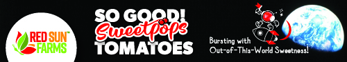 Red Sun Farms - Sweetpops Tomatoes