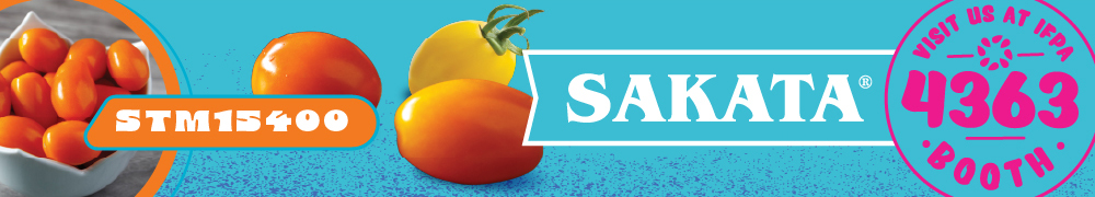 Specialty tomatoes