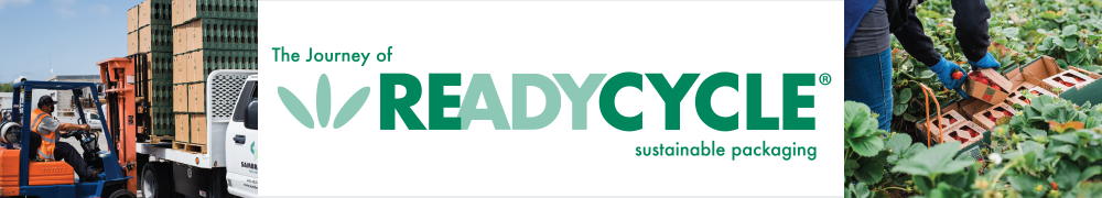 The Journey of ReadyCycle Sustainable Packaging