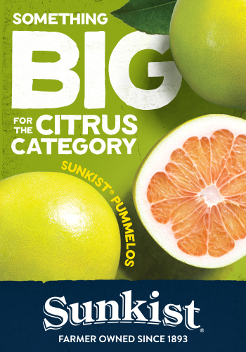Something BIG for the Citrus Category