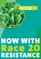 Now with race 20 resistance