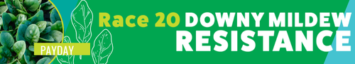Now with race 20 resistance