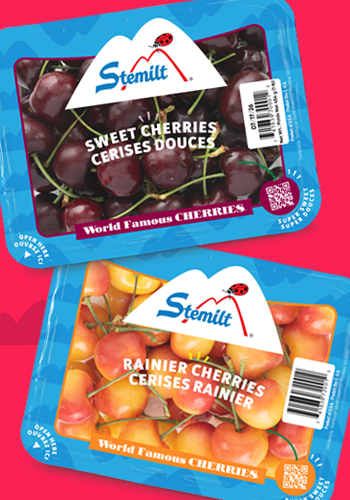 Ready, set   cherry season!