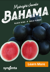 Midnight Jewels  Bahama
