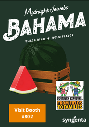 Midnight Jewels  Bahama