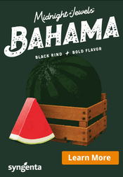 Midnight Jewels  Bahama