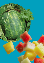 Learn about our NEW firm fresh watermelon!