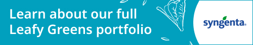 Learn about our full leafy greens portfolio