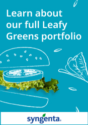 Learn about our full leafy greens portfolio