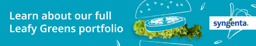 Learn about our full Leafy Greens portfolio