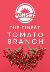 The Finest Tomato Branch