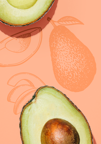 Avocados available now