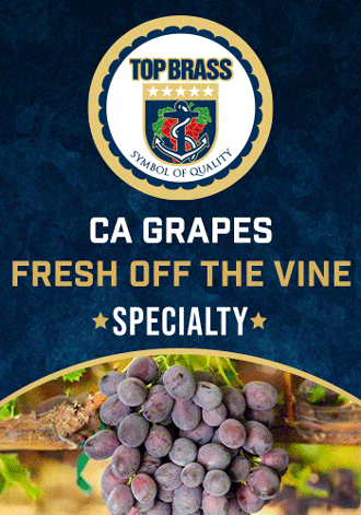 Fresh Off The Vine
