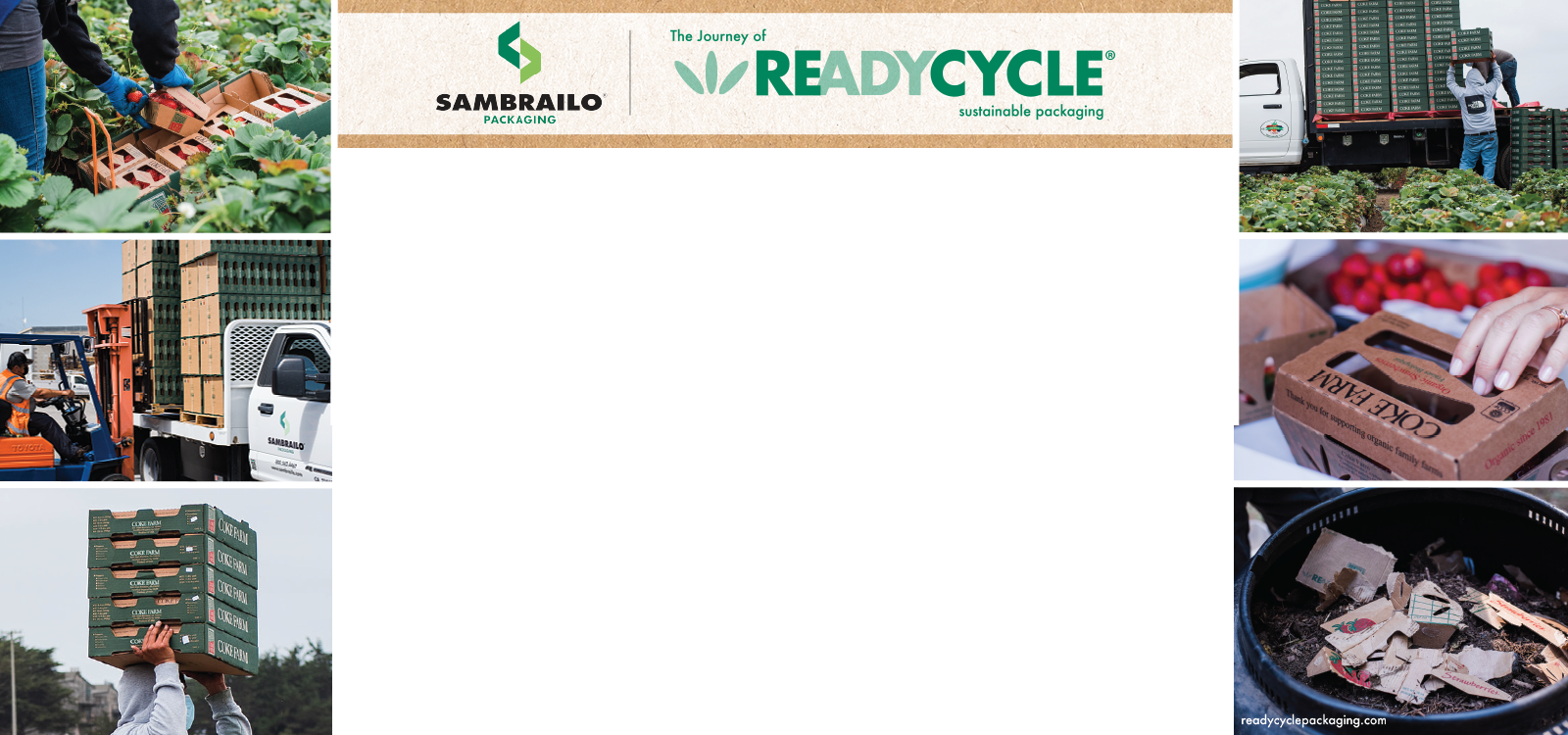 Wraparound Ad