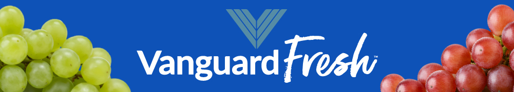 Vanguard Fresh