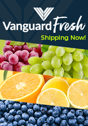 Vanguard Fresh