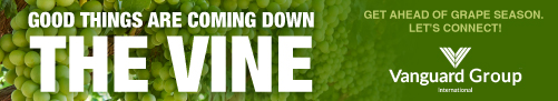 Good things are coming down the vine