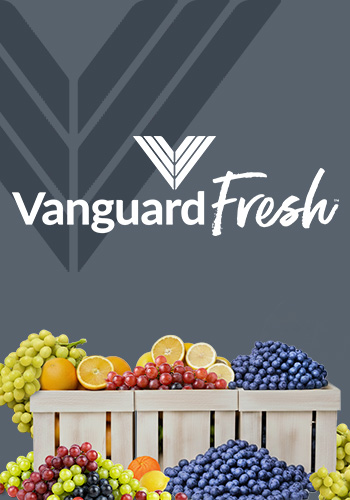 Vanguard Fresh