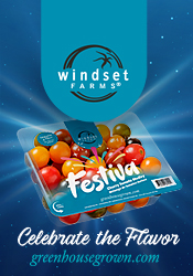 Festiva - Cherry Tomato Medley - Windset Farms