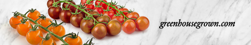 Windset Farms - Cameo - Cherry tomatoes on the vine