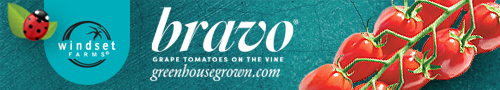 Windset Farms - Bravo - Grape tomatoes on the vine